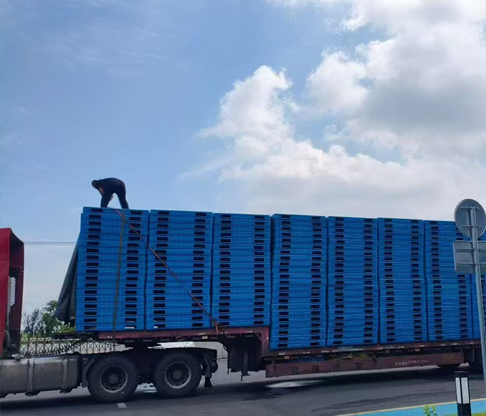 革新物流新时代 塑料托盘满足你的多样需求