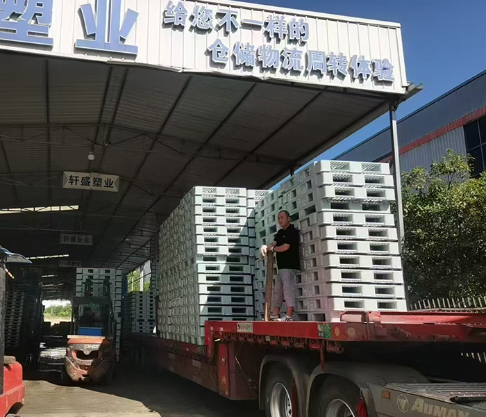 塑料托盘